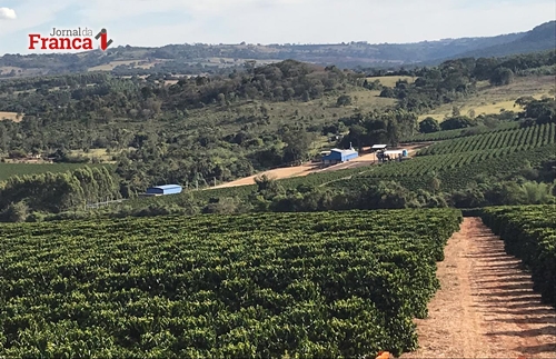 Fazenda Eldorado, de Ibiraci, produz um dos cafés classificados no Cofee of the Year 2018